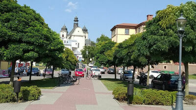 Szpaler klonów na placu Kupieckim