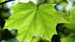 Zdjęcie ilustracyjne