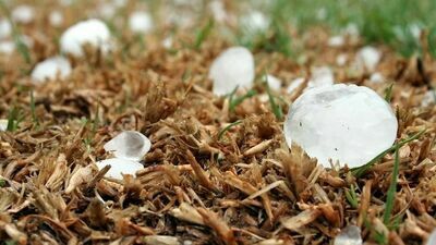 Zdjęcie ilustracyjne