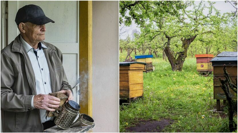 Łąki nad Bugiem są dla pszczół znakomitym pożytkiem. Nie tylko po naszej stronie, ale i po białoruskiej czy ukraińskiej. Tam też nasze pszczoły chodzą, bo paszportu im nie potrzeba – mówi Kazimierz Panasiuk 