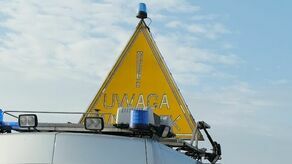 Utrudnienia w ruchu na DK 19. Samochód najechał na łosia