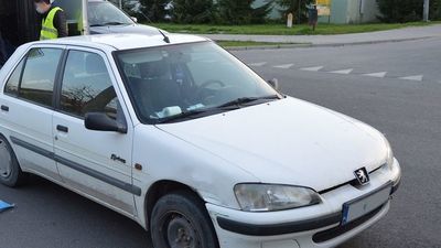 Makabra. Kilka kilometrów ciągnął psa przywiązanego do samochodu