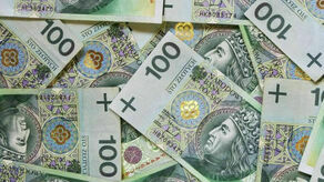 Lubelskie. Działaczka PiS zakłada fundację i niemal zaraz dostaje państwową kasę