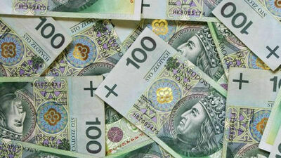 Lubelskie. Działaczka PiS zakłada fundację i niemal zaraz dostaje państwową kasę