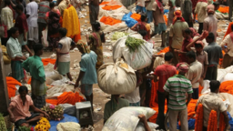 Koronawirus. Służby namierzają podróżnych z Indii i Brazyli. Jest już ponad 150 osób