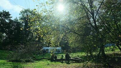 Za kilka dni pogoda może bardzo zaskoczyć. Prognoza na weekend