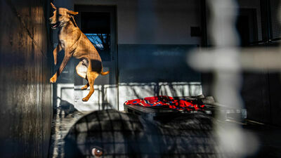 Czterech lubelskich fotoreporterów z nagrodami Grand Press Photo 2021