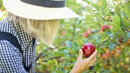 Zdjęcie ilustracyjne