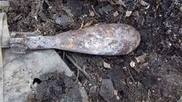 zdjęcie ilustracyjne 