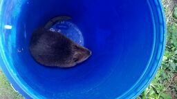 Przyszedł i nie chciał odejść. Potrzebna była interwencja policji