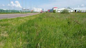 Zamojska Strefa Aktywności Gospodarczej. Inwestor chce tu uruchomić spopielarnię zwłok