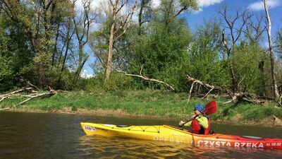 Sprzątanie rzek. Organizatorzy czekają na wolontariuszy [harmonogram akcji]