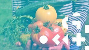 Sztuka Wrażliwości - zajęcia w Warsztatach Kultury