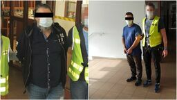 Lubelskie: Policjanci zlikwidowali plantację konopi indyjskich. Ponad 1400 krzewów [wideo]