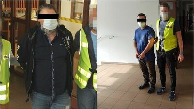 Lubelskie: Policjanci zlikwidowali plantację konopi indyjskich. Ponad 1400 krzewów [wideo]