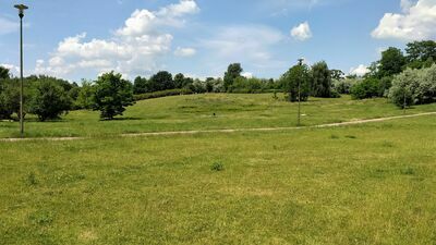 Jednym z miejsc, w których może powstać ogród deszczowy są okolice altany w parku Jana Pawła II w pobliżu ul. Szmaragdowej