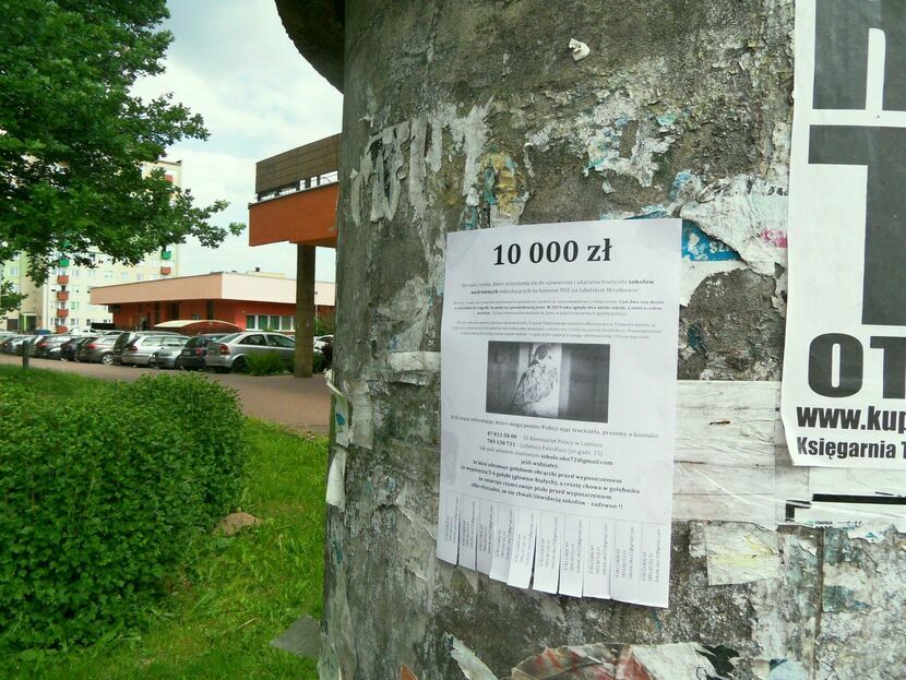 W wielu miejscach w Lublinie pojawiły plakaty informujące o nagrodzie