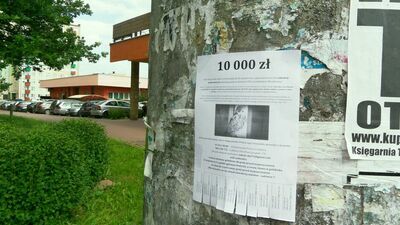 W wielu miejscach w Lublinie pojawiły plakaty informujące o nagrodzie