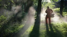 Wojna o krew lublinian zacznie się dziś