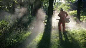 Wojna o krew lublinian zacznie się dziś