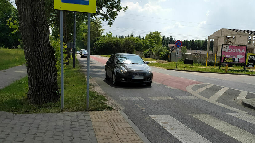 Zdaniem radnego Daniewskiego drzewo zasłania pieszym widok na samochody, a kierowcom zasłania pieszych