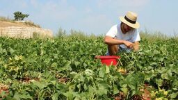 Zdjęcie ilustracyjne