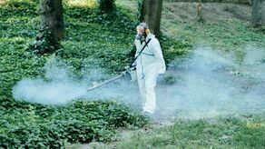 W tych miejscach w Lublinie będą opryski przeciw komarom