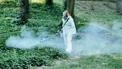W tych miejscach w Lublinie będą opryski przeciw komarom