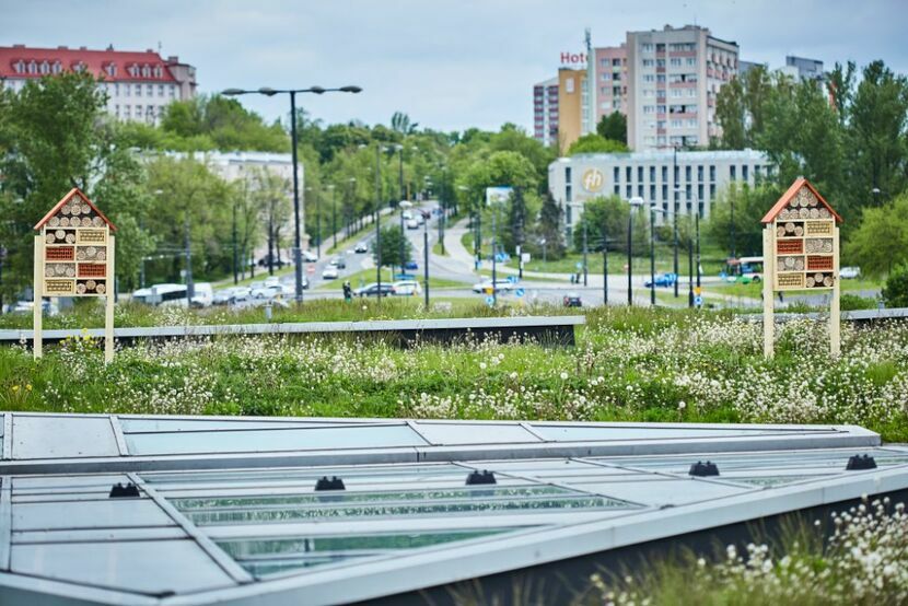 Domki dla owadów, które pojawiły się w ostatnim czasie na dachu VIVO! Lublin