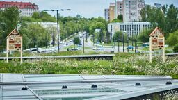 Domki dla owadów, które pojawiły się w ostatnim czasie na dachu VIVO! Lublin