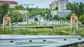 Domki dla owadów, które pojawiły się w ostatnim czasie na dachu VIVO! Lublin
