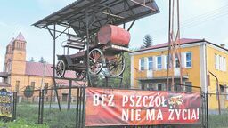 Banerowa akcja sołtysa wsi Studzianki. Wszystko po to aby ratować pszczoły