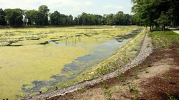 Odnowa Parku Miejskiego w Lubartowie kosztuje blisko 11 mln zł, z czego 9 milionów to środki zewnętrzne