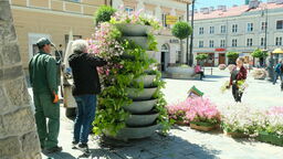 Stroją Lublin w nowe kwiatki