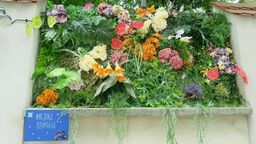 Lublin: Nowe atrakcje Nocy Kultury. Można trafić na "Miejską dżunglę" [zdjęcia]