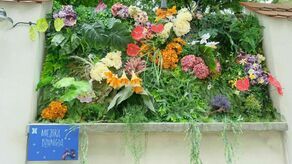 Lublin: Nowe atrakcje Nocy Kultury. Można trafić na "Miejską dżunglę" [zdjęcia]