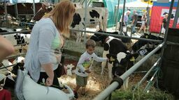 Nie będzie zwierząt w Sitnie. Największa w regionie wystawa rolnicza odwołana