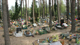 Cmentarz dla zwierząt domowych w Koniku Nowym