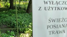 Tak wyglądają prace ogrodnicze. W parku Ludowym wybiegi dla psów nieczynne i zarastają chwastami