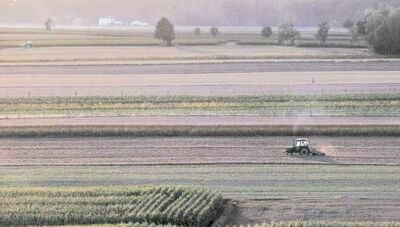 Dopłaty dla rolników 2021. W sobotę lubelskie biura ARiMR udzielają pomocy