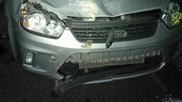 Fatalne zderzenie z łosiem w Firleju. Potężne zwierzę wpadło do forda