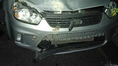 Fatalne zderzenie z łosiem w Firleju. Potężne zwierzę wpadło do forda