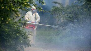 Lublin: Miasto zwalcza komary. Na początek park Bronowicki [zdjęcia]