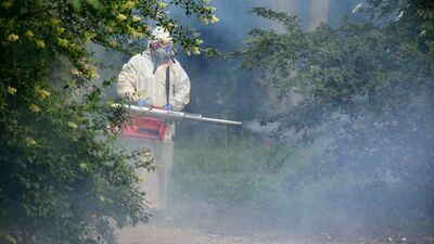 Lublin: Miasto zwalcza komary. Na początek park Bronowicki [zdjęcia]