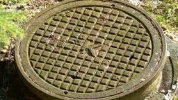 Sekwencjonowanie ścieków może pomóc w monitorowaniu wariantów SARS-CoV-2