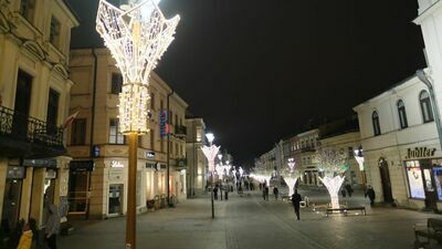 Do bójki doszło w nocy z 20 na 21 grudnia 2018 r. przy Krakowskim Przedmieściu w Lublinie