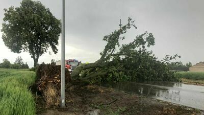 Nawałnice w Lubelskiem. Po burzach powalone drzewa, zablokowana droga [zdjęcia]