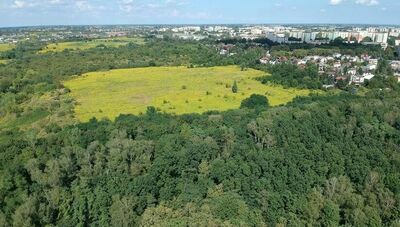 Lublin: Górki czechowskie dłużej poczekają na wyroki sądu