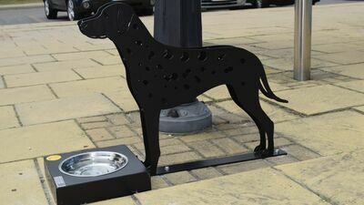 Zdobione miski ze świeżą wodą mają pomóc zwierzętom w mieście, zwłaszcza w trakcie gorących dni