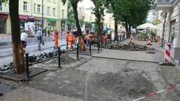 Lublin: Jest szansa na więcej zieleni na Krakowskim Przedmieściu